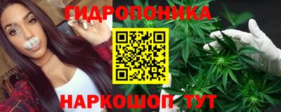 mdpv Кингисепп