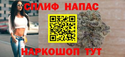 спиды Кинель