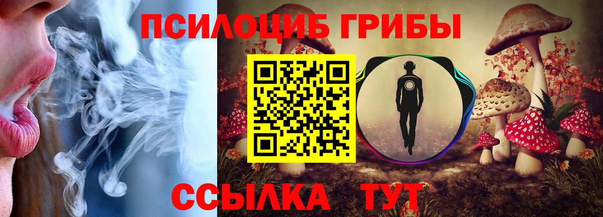 Каменск-Шахтинский  Псилоцибиновые грибы мухоморы  Галлюциногенные грибы Cubensis  Вход с VPN 