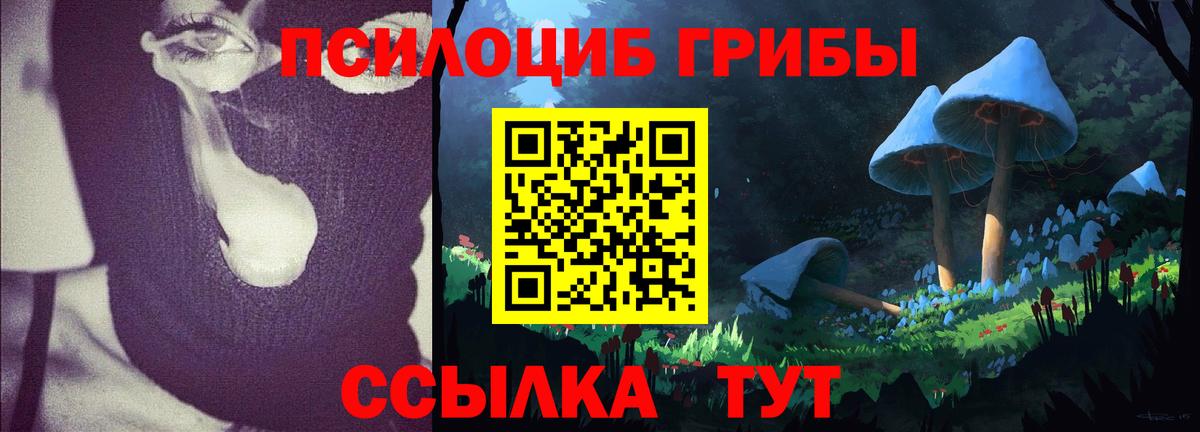 Галлюциногенные грибы Magic Shrooms Каменск-Шахтинский